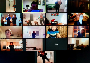 Deelnemers aan Zoomtraining